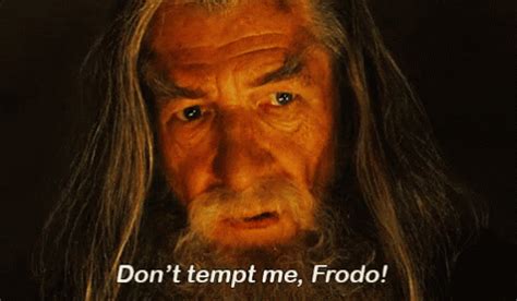 don't tempt me with a good time gif|don't tempt me frodo gif.